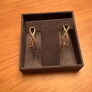 Elegant Silver Twisted Hoop Earrings